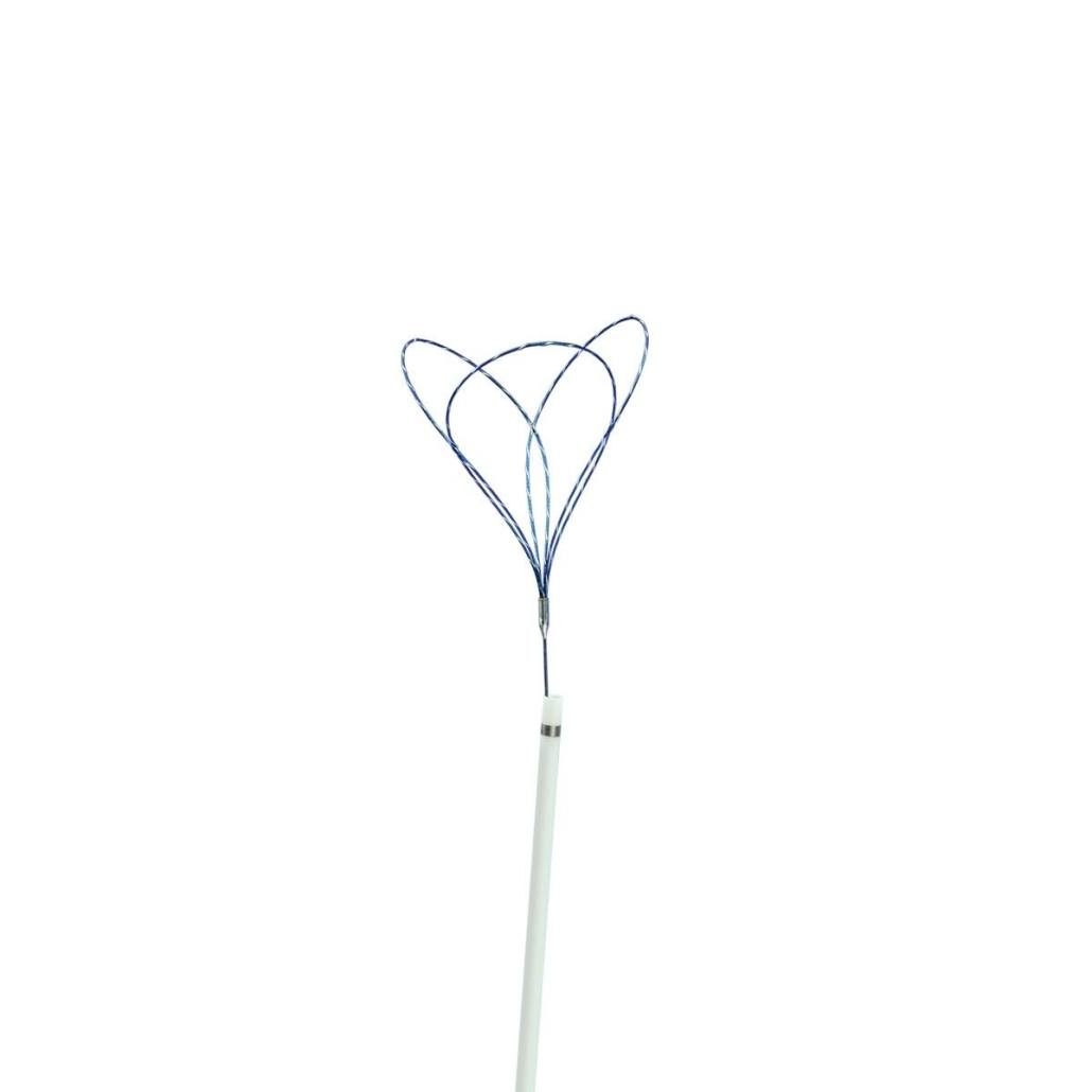 EN2006015