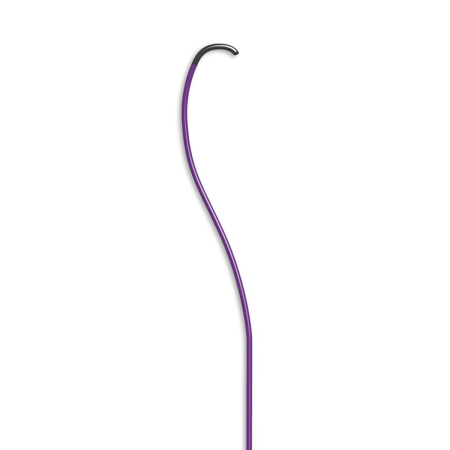 RBI (Renal, Bifurcation, Iliac)