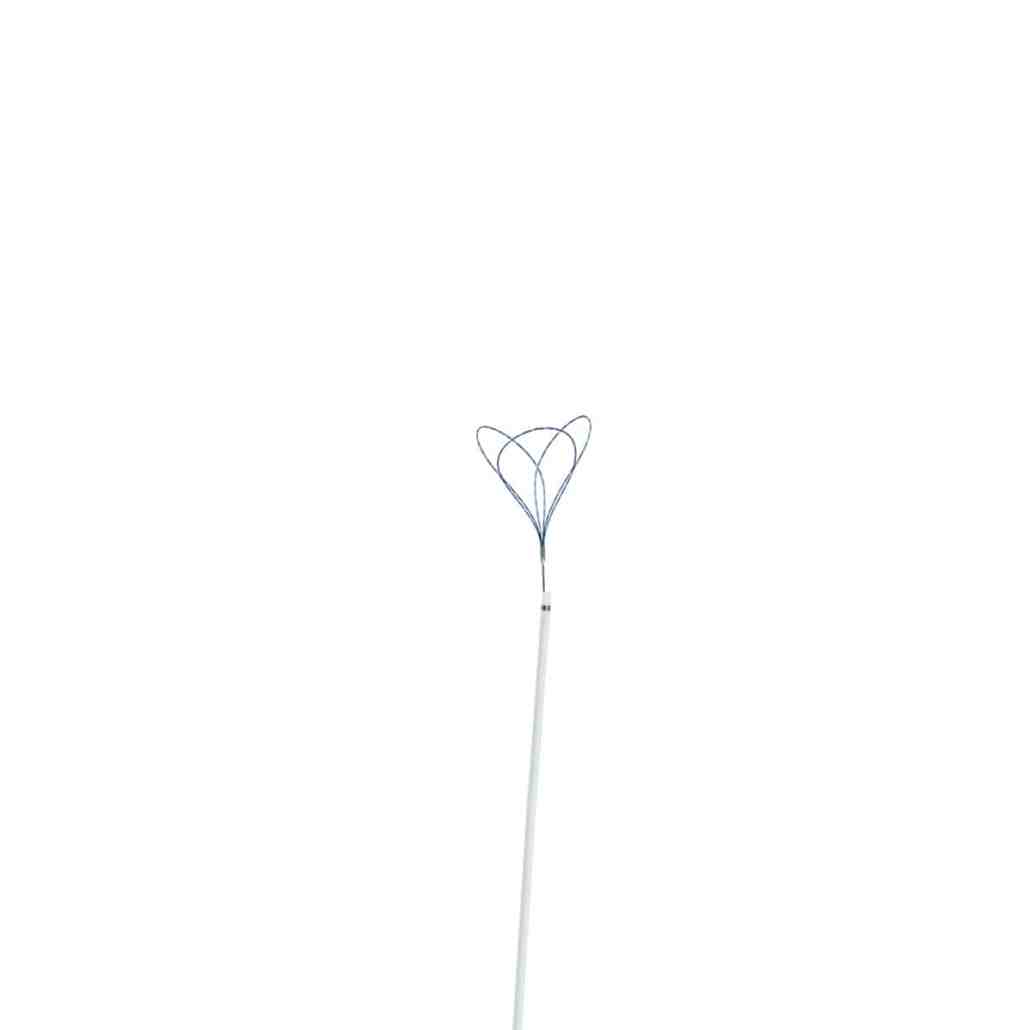 EN1003004